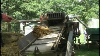 Threshing oats the old fashioned way at the Edinburgh Folk Festival [upl. by Darum]