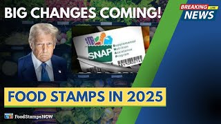 Trumps Food Stamps PLAN Explained What Seniors Need to Know [upl. by Anwahsit]