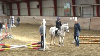 Reiten und Ferien auf der Reitanlage Tannenhof  Dänemark [upl. by Elvira799]