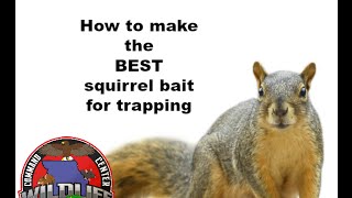 11 How to make the BEST squirrel bait for trapping [upl. by Eatnoled255]