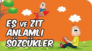 Eş ve Zıt Anlamlı Sözcükler  2 Sınıf Türkçe 📚 [upl. by Gibe]