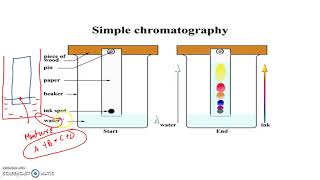 Chromatography  Organic Chemistry  IIT JEE NEET CBSE [upl. by Auhsej]