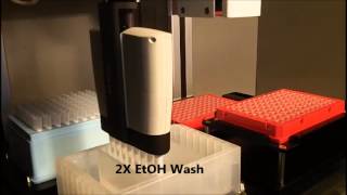 Magnetic Bead Prep for DNA extraction  automated liquid handling [upl. by Doy]