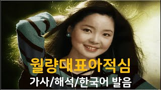 등려군邓丽君의 월량대표아적심月亮代表我的心  첨밀밀OST  한글발음 가사해석 [upl. by Atwahs]