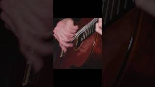 This is from the Canarios video music guitar fingerstyle effects classicalguitar baroque [upl. by Yirinec274]