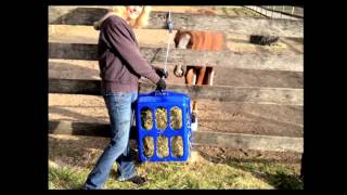 Equine Laminitis 2012 Update Part 4 from the Animal Health Foundation [upl. by Eartnoed400]