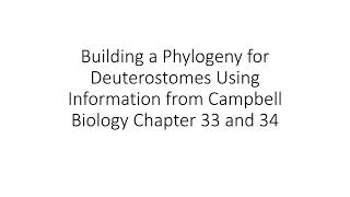 Building a Phylogeny for Deuterostomes [upl. by Bili]