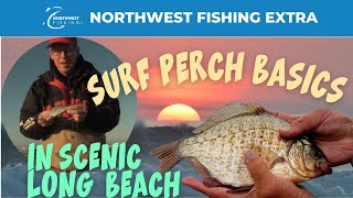 Red Tail Perch Fishing at Long Beach Surf Perch Basics [upl. by Nylhtak56]