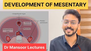 Development of Mesentery  Anatomy Dr Mansoor Malayalam Lecture [upl. by Yenobe]