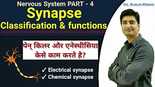 What is Synapse Classification amp Function of Synapse  How painkiller or anaesthesia works [upl. by Ahsiki]