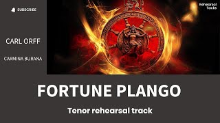 Orff  Carmina Burana  Fortune plango  Tenor [upl. by Esenahs378]