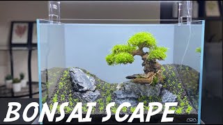 Amazing aquarium and bonsai tree from cement  Creative DIY ideas [upl. by Sheepshanks]