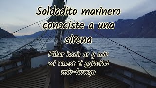 Soldadito Marinero 🎶 Fito amp Fitipaldis  letra en galés y español  Galés con Marian [upl. by Llirrehs784]