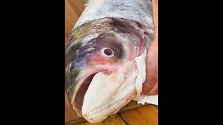 Cooked A taste finsh cookingfishcookingshorts cookingtips [upl. by Adnohsat]