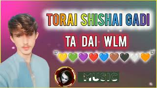 New tik tok tranding pashto song 2024amin ullah marwat pashto song [upl. by Lundt]