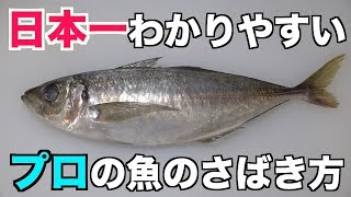 誰でも簡単わかりやすい【鯵アジ】さばき方 三枚おろし [upl. by Francene]