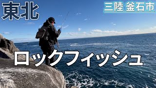 【海釣り】爆釣ロックフィッシュ＃2【岩手】 [upl. by Slaughter]