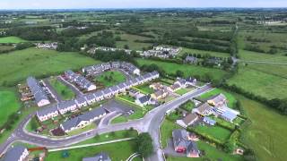 Claremorris Ireland bird fly [upl. by Bettencourt982]