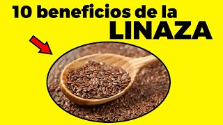 Linaza ¿por qué consumirla  30 Alimentos saludables con Jorge Rausch [upl. by Annahsohs223]