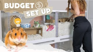 How to Set up a Hamster Cage on a BUDGET 💸 [upl. by Aurore]