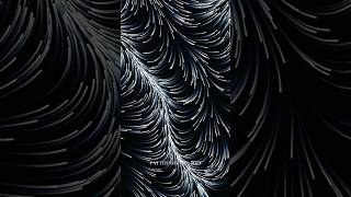 Flow field  generative art creativecoding mathart abstractart [upl. by Kotto]