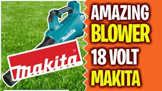 Most powerful Makita 18v Jet Blower Review DUB184Z [upl. by Kumler382]