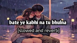 BAATEIN YE KABHI NA TU BHULNA  slowed and reverb new lofi song heart touching new lofi song [upl. by Ainel569]