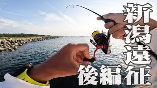 40cm大鯖が釣れた場所でデカアジを狙う 第17回アウトドア部第2部【アジング】 [upl. by Ahsienat]