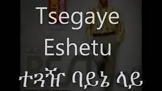 Tsegaya Eshetu ተጏዥ በአይኔ ላይ [upl. by Lamrouex]