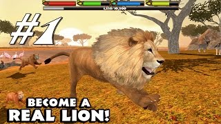 Ultimate Lion Simulator By Gluten Free Games  Android amp iOS  Gameplay Part 1 [upl. by Niltac]