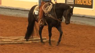 WIHS Equitation Finals WorkOff [upl. by Meris649]