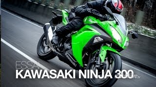 Why this is the Best 1st Bike Kawasaki Ninja 300 [upl. by Corel]