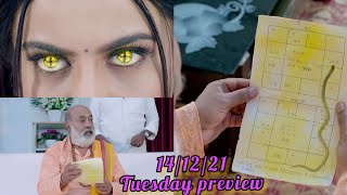 Naagini 2 Kannada Serial 141221New Interesting Tuesday Episode preview Tuesday Episode promo [upl. by Ecitnerp]