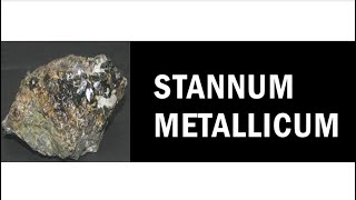 STANNUM METALLICUM HOMEOPATHIC REMEDY EXPLANATION [upl. by Eelymmij]