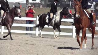 WalkTrot Equitation Horse Show [upl. by Eenalem]