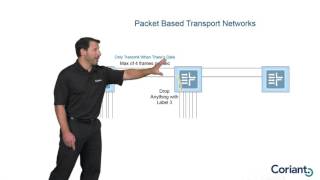 Understanding Circuit Switched Networks vs Packet Switched Networks [upl. by Hajar599]