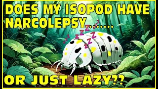 Does My Isopod Have Narcolepsy A Boring Video [upl. by Duwalt]