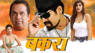 बकरा  Latest South Indian Comedy Movie Dubbed In Hindi  Srihari Yashika Brahmanandam [upl. by Fariss]