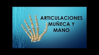 Articulaciones muñeca y mano [upl. by Anairo]