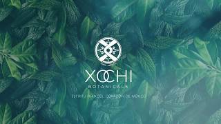 Somos Xochi Botanicals [upl. by Peltz]