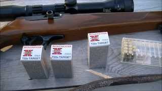 Winchester T22 Ammo Test [upl. by Slemmer]