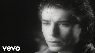 The Psychedelic Furs  The Ghost in You Official Video [upl. by Ilyak777]