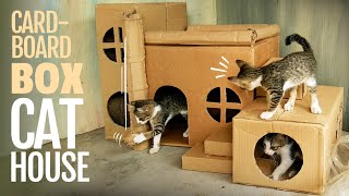 CAT HOUSE DIY CARDBOARD BOX IDEAS [upl. by Walliw]