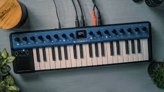 Modal Cobalt 5S 🎹  A Budget Hardware Synth That Rocks [upl. by Gabrielle]