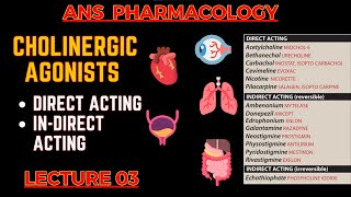 Cholinergic Agonists  Parasympathomimetic Drugs  Direct Acting amp indirect acting  L3 [upl. by Aiykan37]