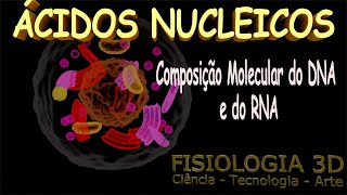 Aula 23  Ácidos Nucleicos DNA e RNA [upl. by Ylram855]