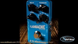 TC Electronic Flashback 2 Delay and Looper Pedal  InDepth Review [upl. by Yrram]