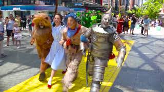 THE WIZARD OF OZ  HELLO BRISBANE [upl. by Nevai]