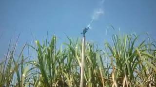 Sugarcane irrigation with Impact Sprinkler 5035 SD [upl. by Enel]