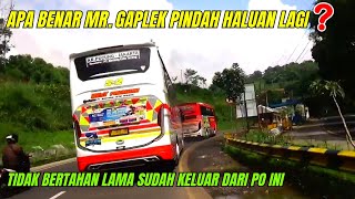 Apa benar Mr gaplek pindah haluan lagi❓GEGER MR GAPLEK KELUAR DARI BEST PREMIUM [upl. by Aoket]